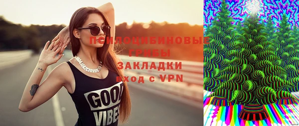 спиды Алзамай