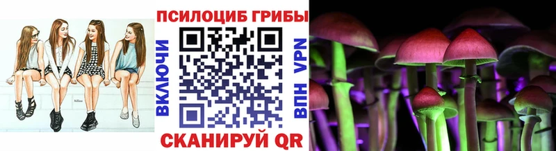Псилоцибиновые грибы Magic Shrooms  как найти закладки  Берёзовка 
