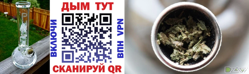 Каннабис OG Kush  Берёзовка 